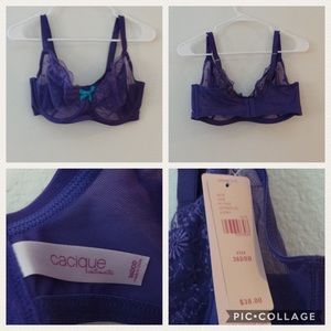 NWT Cacique Purple Bra Size 36DDD